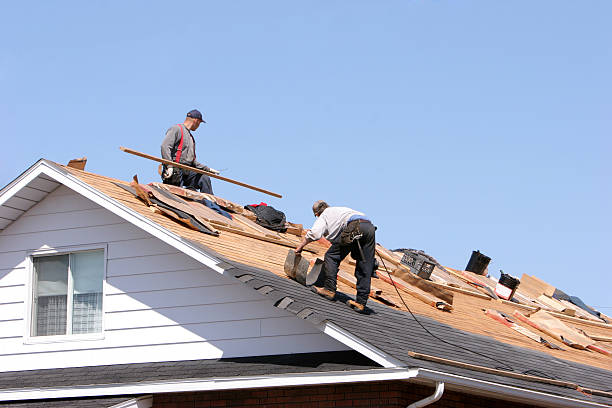 Danville, AR Roofing service Company